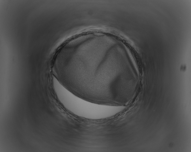 X0000095551496200801041319