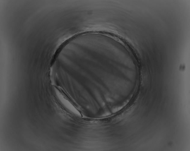 X0000095551497200801041319