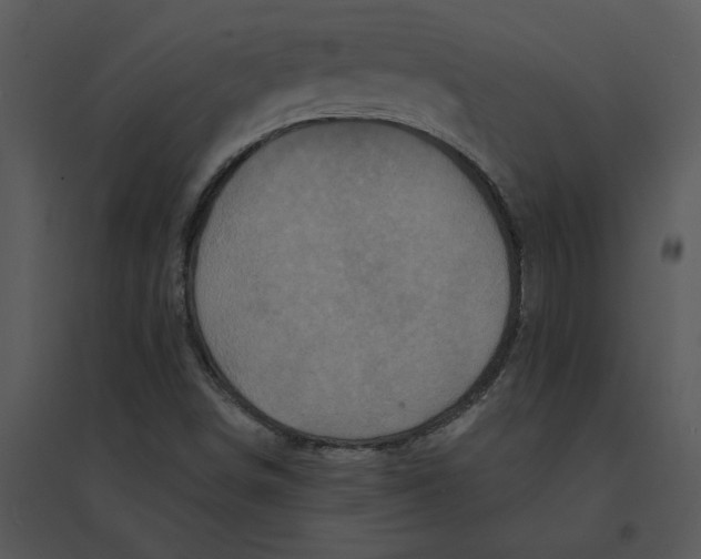 X0000095551498200801041319