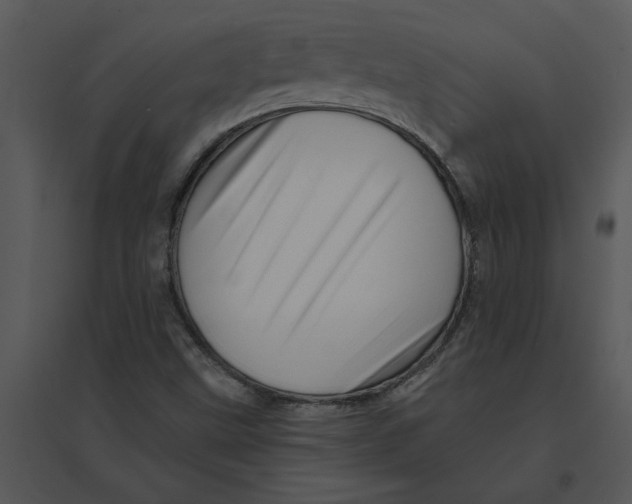 X0000095551499200801041319