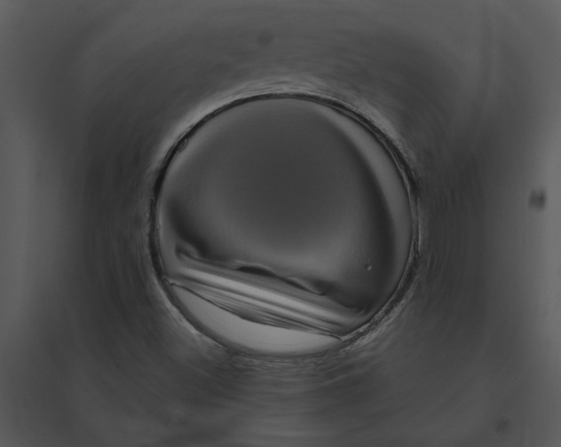 X0000095551500200801041319