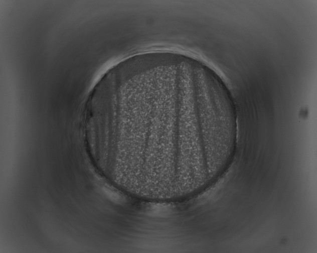 X0000095551501200801041319