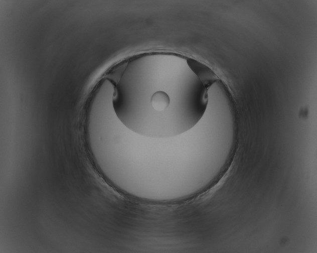 X0000095551502200801041319