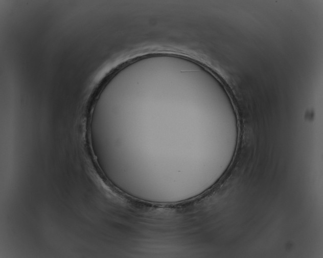 X0000095551503200801041319