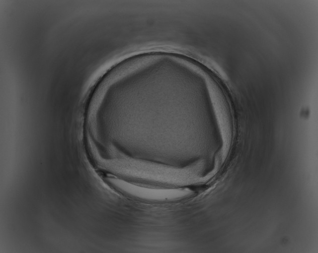 X0000095551504200801041319