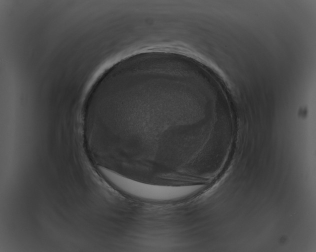 X0000095551506200801041319