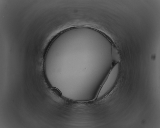 X0000095551507200801041319