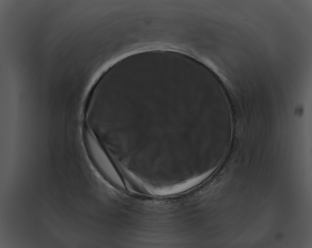 X0000095551508200801041319