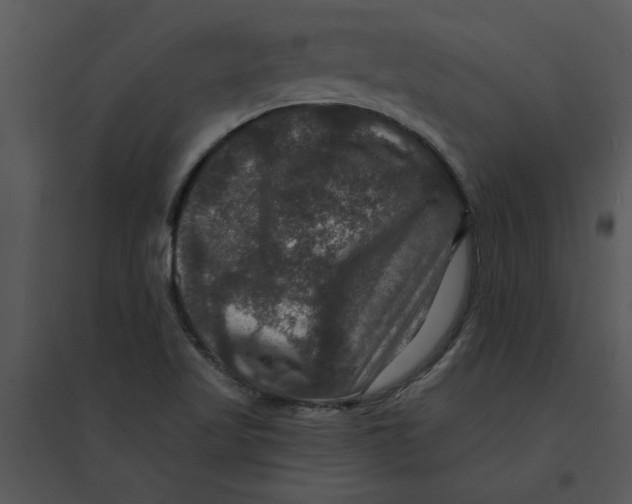 X0000095551509200801041319