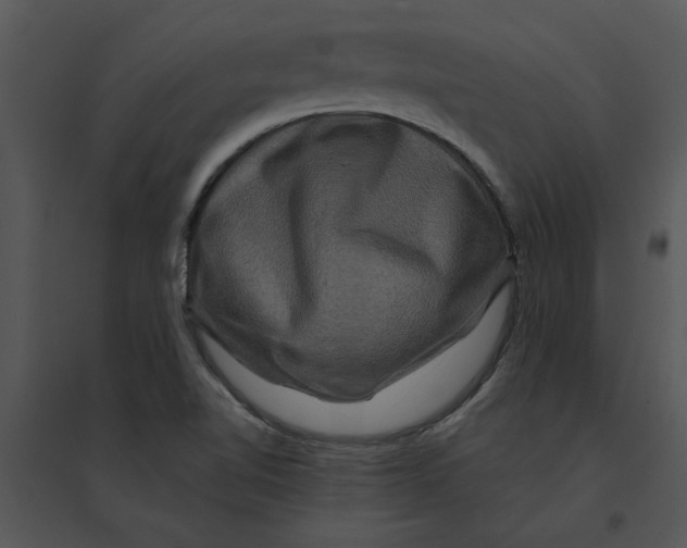 X0000095551510200801041319