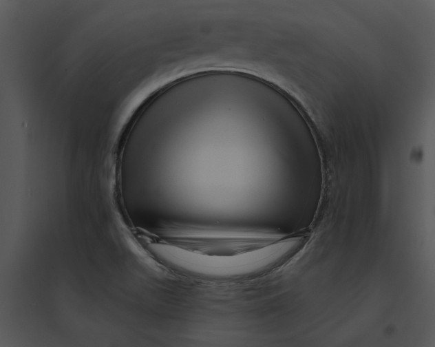 X0000095551511200801041320