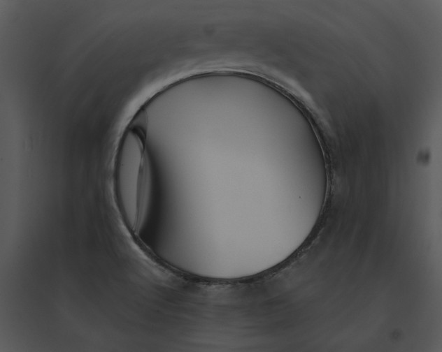 X0000095551512200801041320