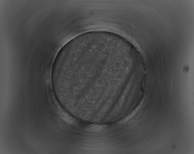 X0000095551513200801041320