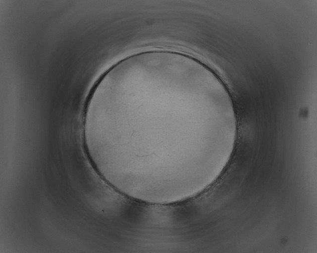 X0000095551514200801041320