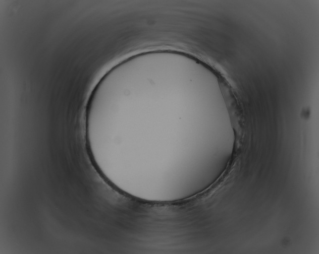 X0000095551516200801041320