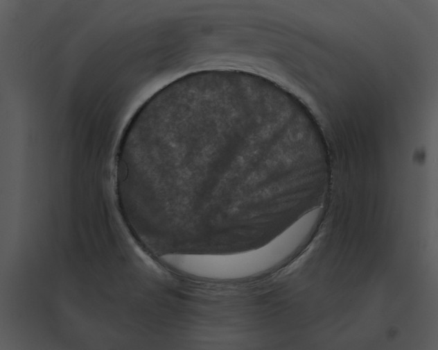 X0000095551517200801041320