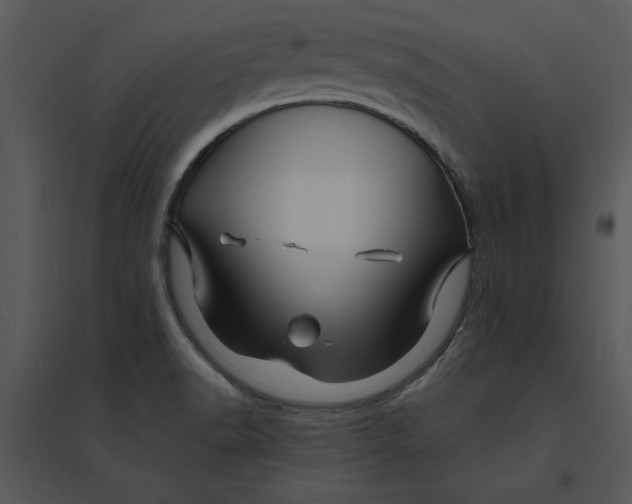 X0000095551518200801041320