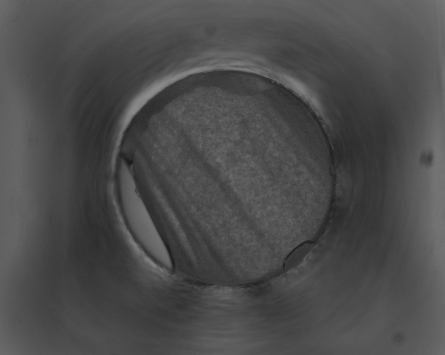 X0000095551520200801041320