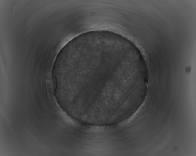 X0000095551521200801041320