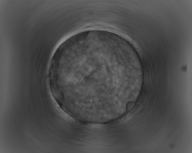 X0000095551522200801041320