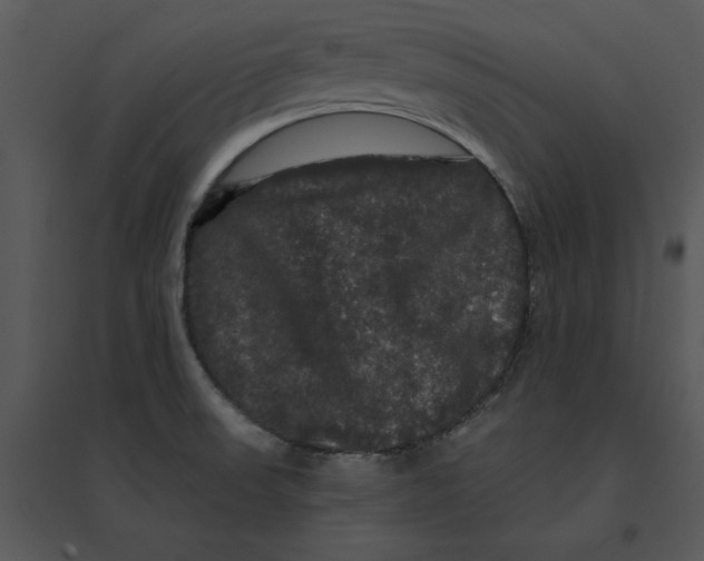 X0000095551523200801041320