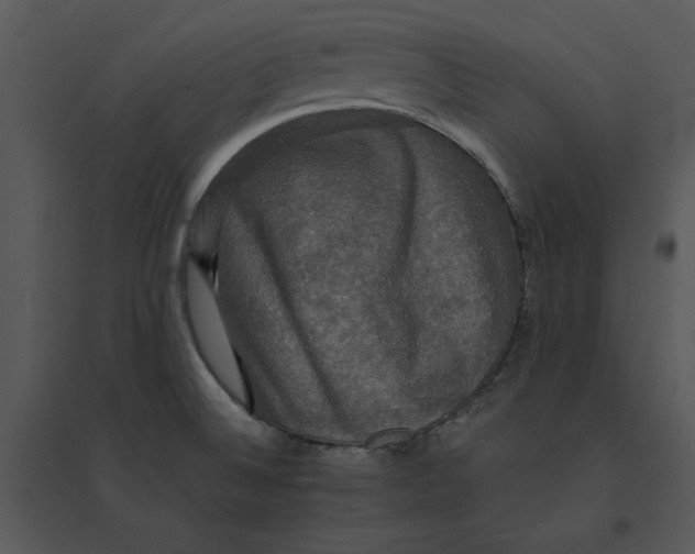 X0000095551524200801041320