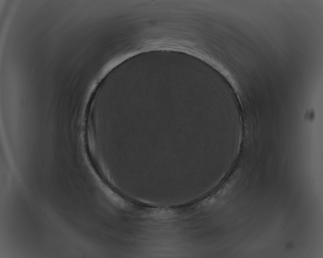 X0000095551525200801041320