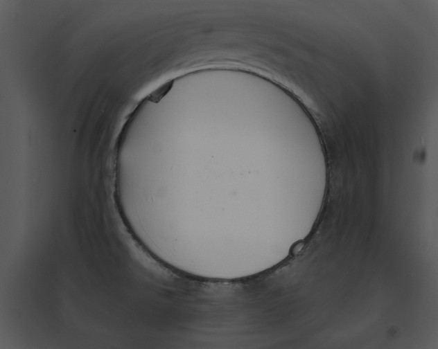 X0000095551526200801041320