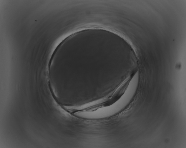 X0000095551527200801041320