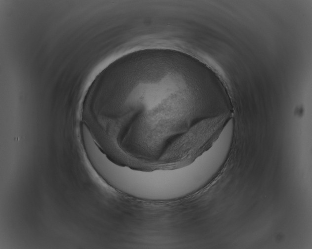 X0000095551528200801041320