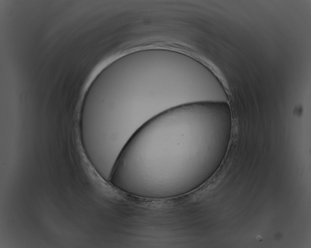 X0000095551530200801041320