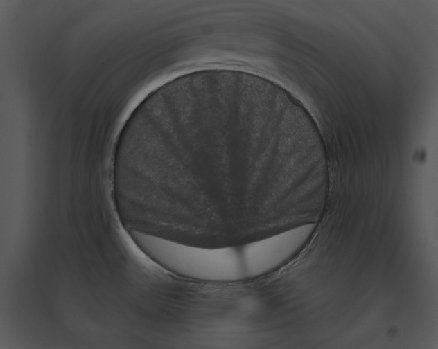 X0000095551531200801041320