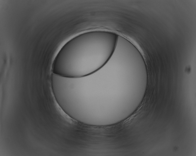 X0000095551532200801041320