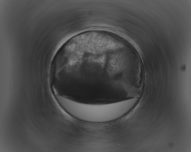 X0000095551533200801041320