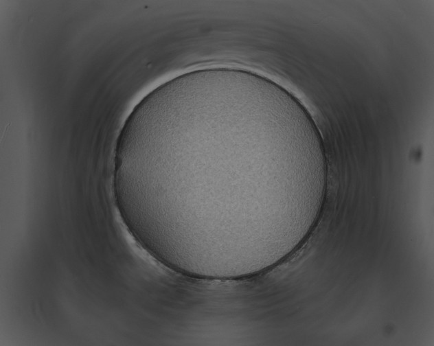 X0000095551534200801041320