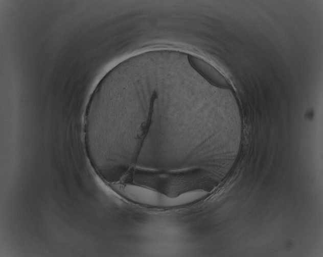 X0000095551535200801041320