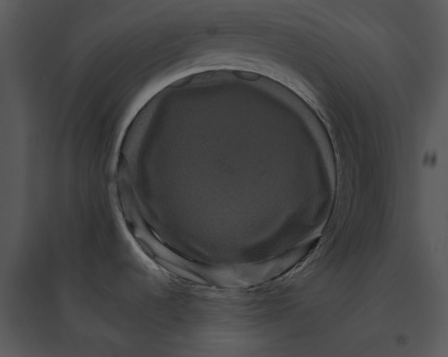 X0000095551536200801041320