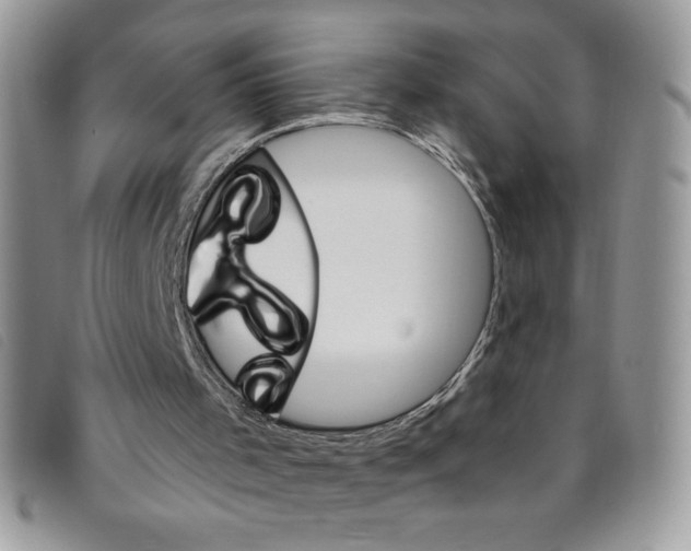 X0000095550001200801111504