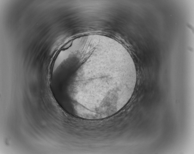 X0000095550002200801111504