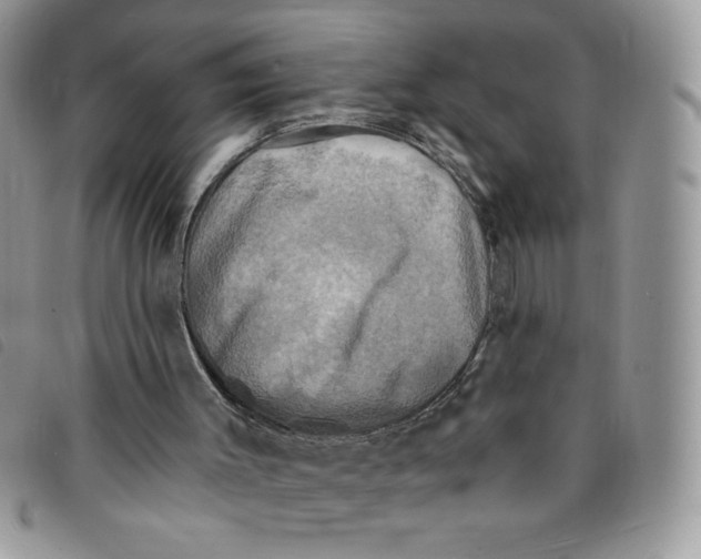 X0000095550003200801111504