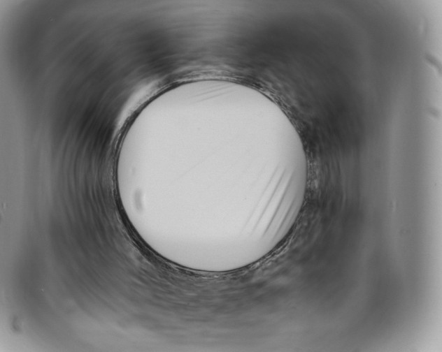 X0000095550004200801111504