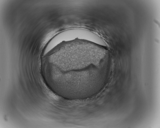 X0000095550005200801111504