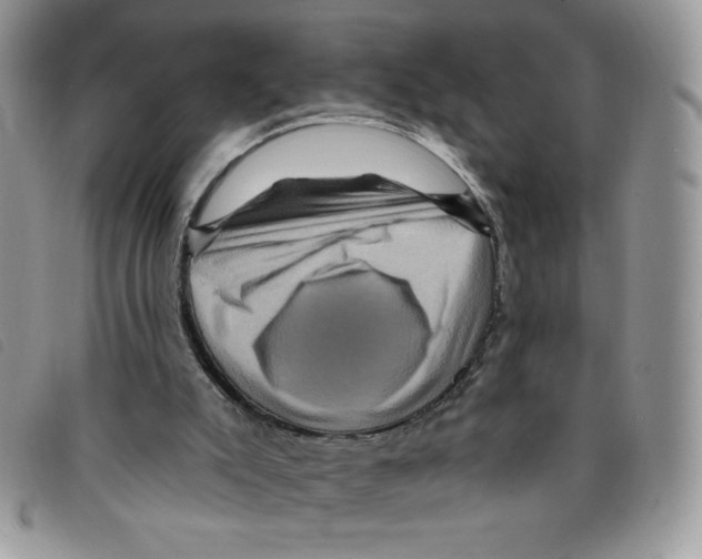 X0000095550007200801111503