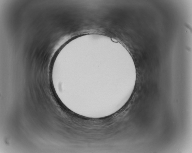 X0000095550008200801111503