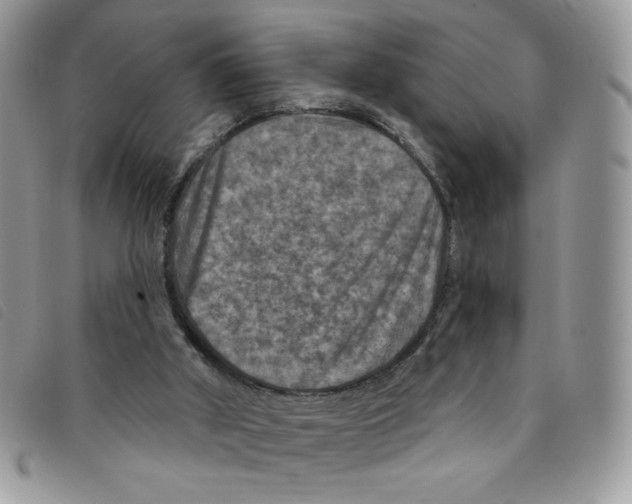 X0000095550010200801111503