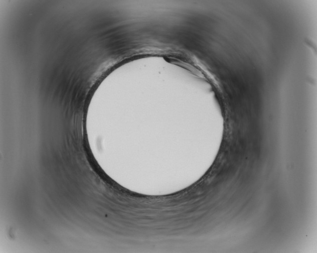 X0000095550011200801111503