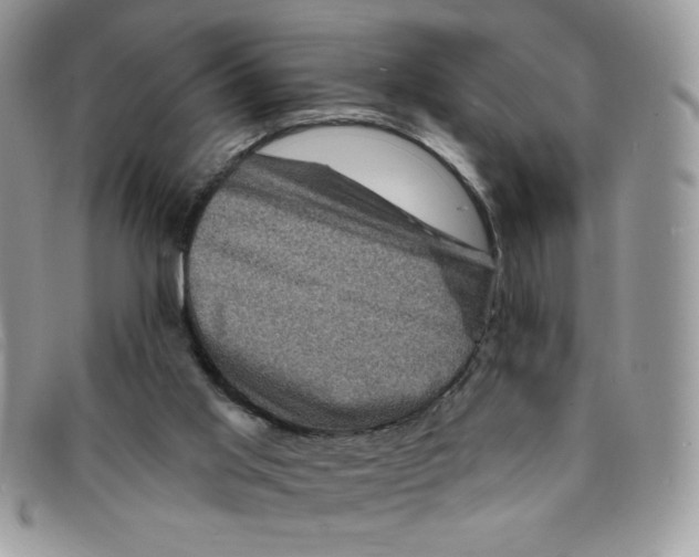 X0000095550013200801111503