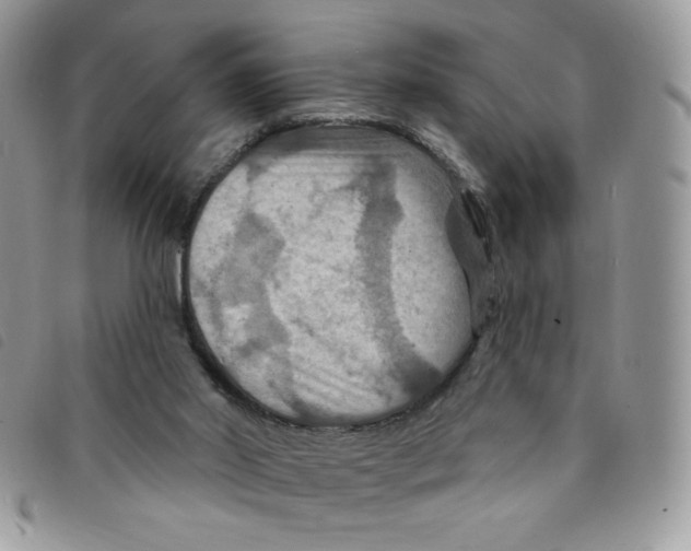 X0000095550014200801111503