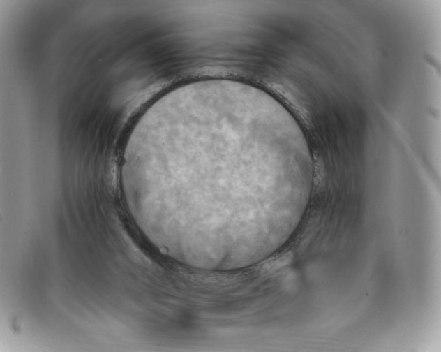 X0000095550016200801111503