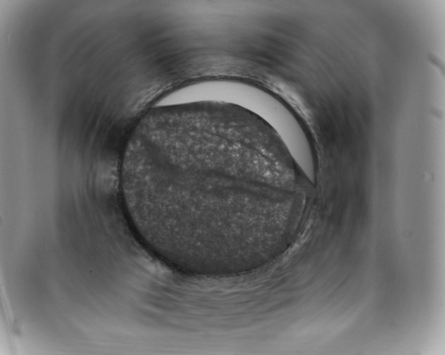 X0000095550017200801111503